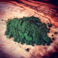 chlorella-algae